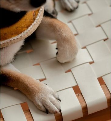 Hotel Nordic Design Соляное дерево Солоновая седла Кожаное тканевое сиденье Складируемое столовое кресло для современного кафе и ресторана