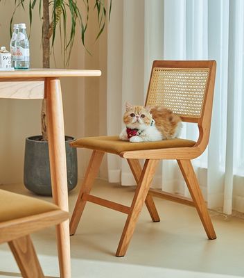 Домашняя мебель Лакированная отделка Массивное деревянное столовое кресло с подушкой и естественным ретиновым спинкой Для современной дизайнерской мебели